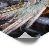 De kunst van Falconry: Red Tailed Hawk op fazant 2 Poster (Hoek)