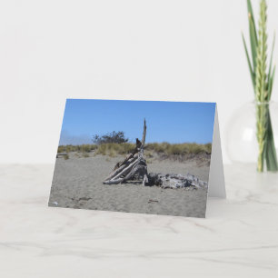 De Kunst van het drijfhout bij Strand Doran Kaart