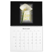 DE KUNST VAN ST. JOHN DAVIES KALENDER (Mar 2026)