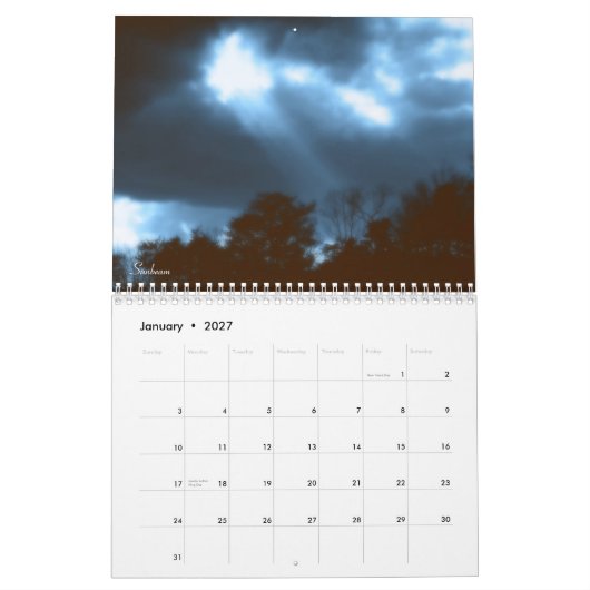 De kunst van Tim Stringer Kalender (Jan 2027)