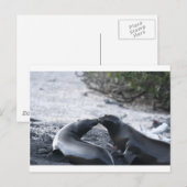 De kus briefkaart (Voorkant / Achterkant)