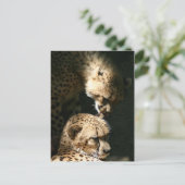 De kus briefkaart (Staand voorkant)