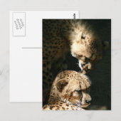 De kus briefkaart (Voorkant / Achterkant)