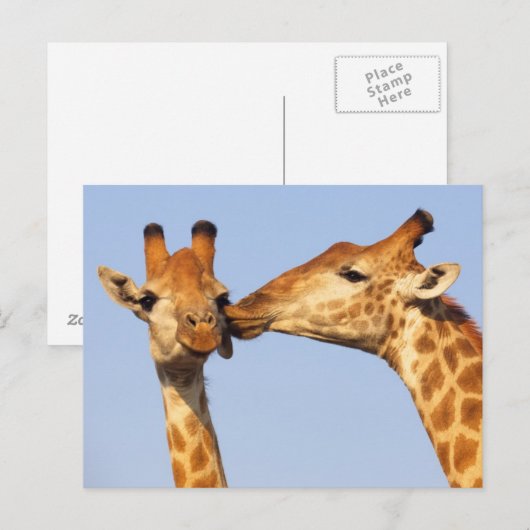 De kus briefkaart (Voorkant / Achterkant)