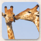 De kus drankjes onderzetter (Voorkant)