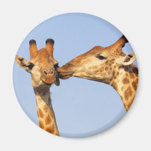 De kus magneet