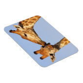 De kus magneet (Rechterzijde)