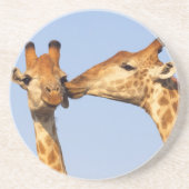 De kus zandsteen onderzetter (Voorkant)