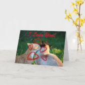 De kusliefde van de kat kaart (Gele Bloem)