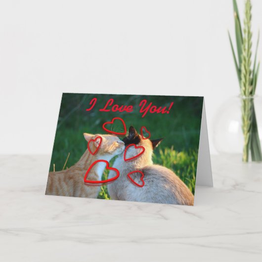 De kusliefde van de kat kaart (Voorkant)