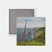 De kust van Cornish Magneet (Voorkant / Achterkant)