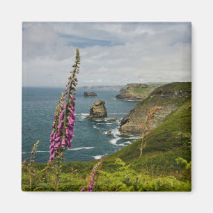 De kust van Cornish Magneet