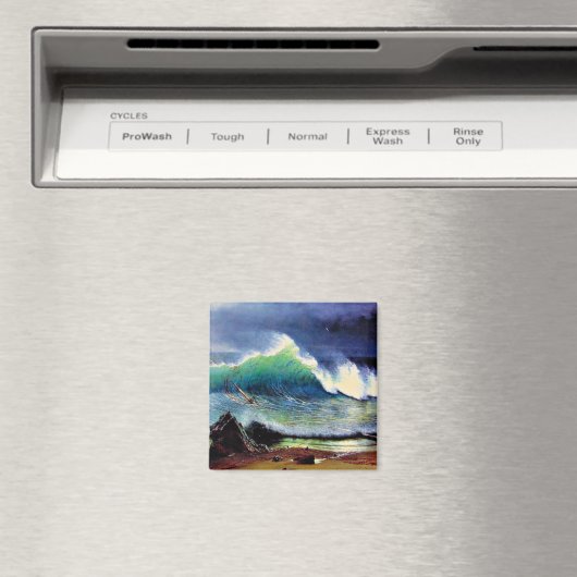 De kust van het Zee Turquoise Magneet (Insitu (Vaatwasser))