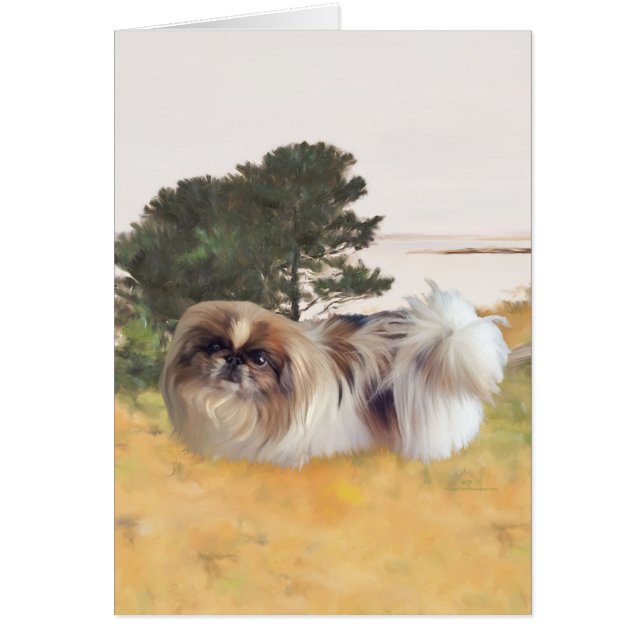 De kust verkennen (Voorkant)