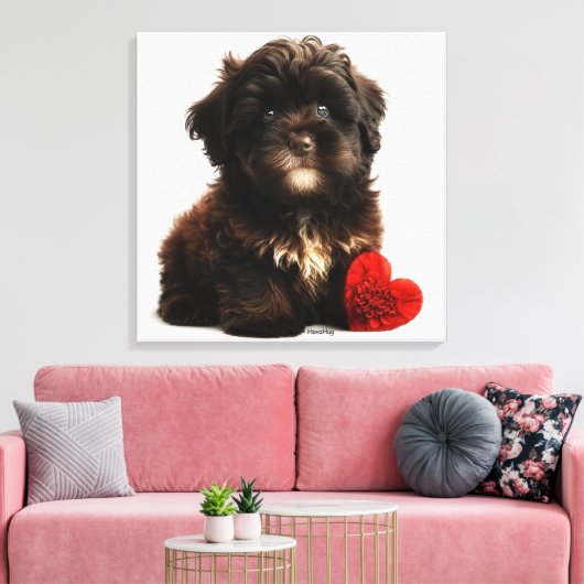 De Kutste Valentijn, Chocolate Havanese Puppy Canvas Afdruk (Insitu (Woonkamer))