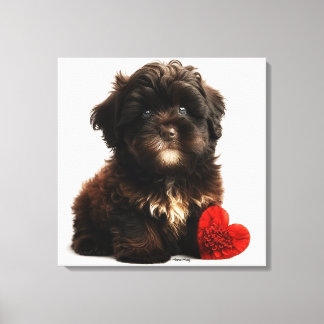 De Kutste Valentijn, Chocolate Havanese Puppy Canvas Afdruk