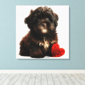 De Kutste Valentijn, Chocolate Havanese Puppy Canvas Afdruk (Insitu (Houten vloer))