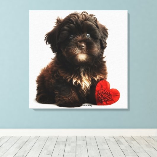 De Kutste Valentijn, Chocolate Havanese Puppy Canvas Afdruk (Insitu (Houten vloer))