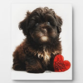 De Kutste Valentijn, Chocolate Havanese Puppy Fotoplaat (Voorkant)