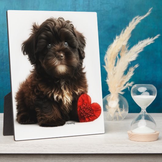 De Kutste Valentijn, Chocolate Havanese Puppy Fotoplaat (Zijkant)
