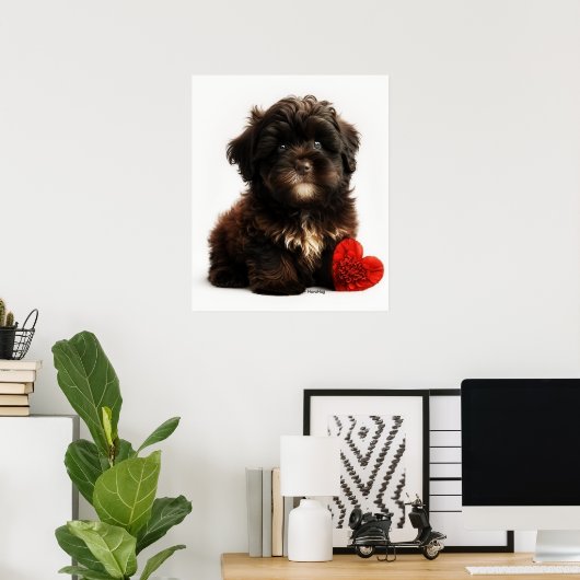 De Kutste Valentijn, Chocolate Havanese Puppy Poster (Thuiskantoor)