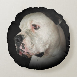 de kwijlende Amerikaanse Hond van de Stier Rond Kussen