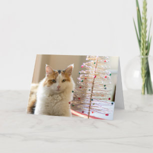 De laag die van het calico door haar miniKerstboom Feestdagen Kaart