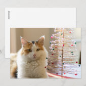 De laag die van het calico door haar miniKerstboom Feestdagenkaart (Voorkant / Achterkant)