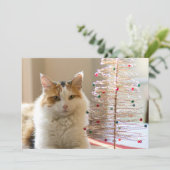 De laag die van het calico door haar miniKerstboom Feestdagenkaart (Staand voorkant)