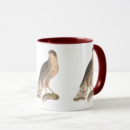 De laatgekleurde Hawk (Astur fuscus) Mok (Voorkant rechts)