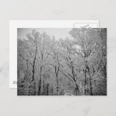 De laatste adem van de winter briefkaart (Voorkant / Achterkant)