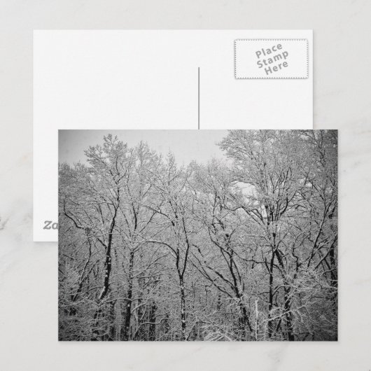 De laatste adem van de winter briefkaart (Voorkant / Achterkant)