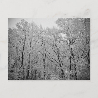 De laatste adem van de winter briefkaart