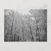 De laatste adem van de winter briefkaart (Voorkant)