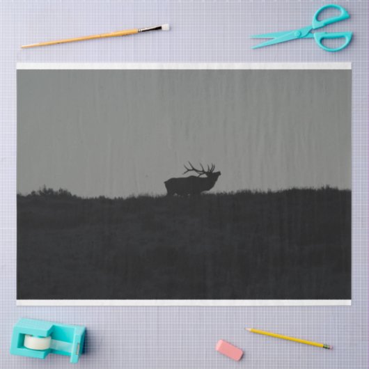 De laatste bugel tissuepapier (Craft)