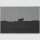 De laatste bugel tissuepapier (Voorkant)