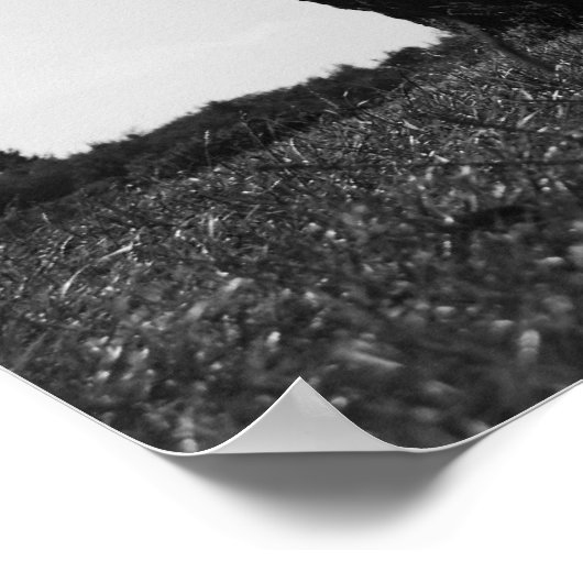 De laatste hersenhelft poster (Hoek)