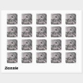 De laatste kever van de 'grote passie' vierkante sticker (Vel)