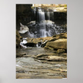 De laatste restanten van de winter poster (Voorkant)