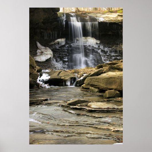 De laatste restanten van de winter poster (Voorkant)