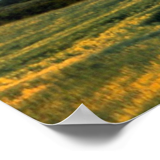 De laatste standaard poster (Hoek)