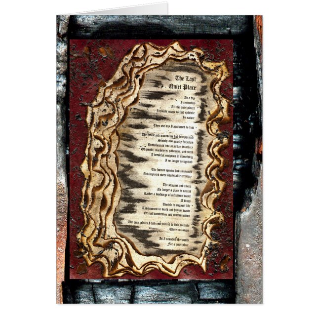 De laatste stille plaats (Voorkant)