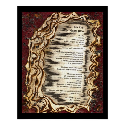 De laatste stille plaats poster (Voorkant)