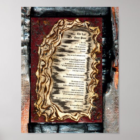 De laatste stille plaats poster (Voorkant)