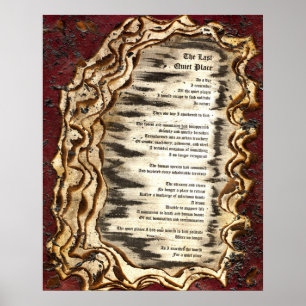 De laatste stille plaats poster