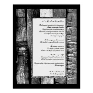 De laatste stille plaats poster