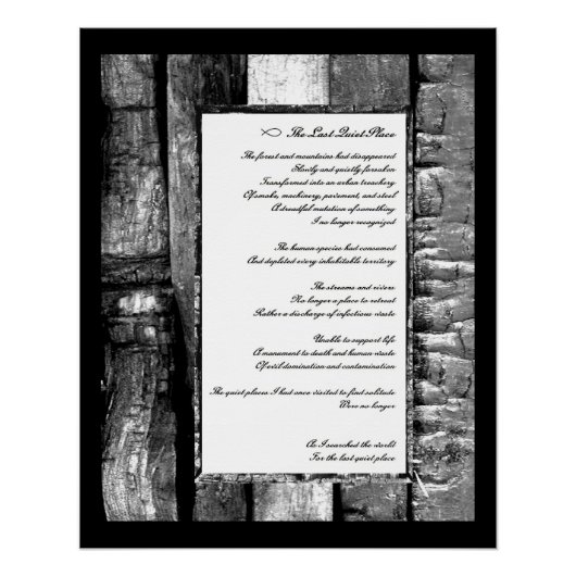 De laatste stille plek poster (Voorkant)