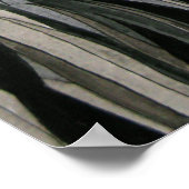 De laatste tijger - Poster (Hoek)