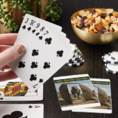 De laatste verdediging van de spiegel pokerkaarten (Insitu)