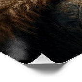 De laatste vlucht van Butterfly Perfect Poster (Hoek)